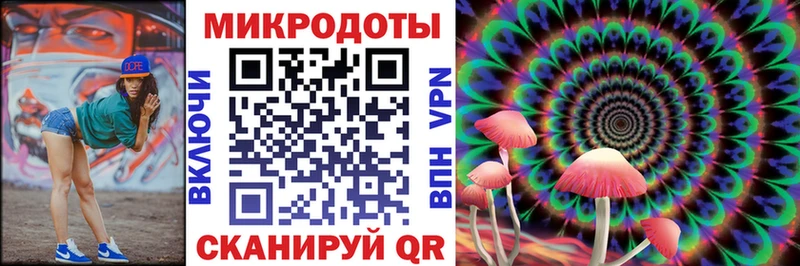 Псилоцибиновые грибы мухоморы  купить наркоту  Камызяк 